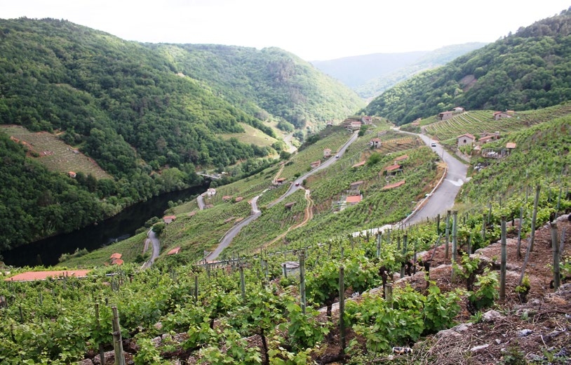 Ribeira de Chantada (Daniel G. Alén)